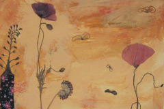 Papaver discret