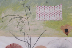 Papaver legere / 2010 / 50x30 / Collage auf Papier